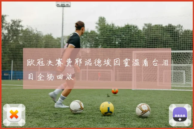 欧冠决赛费耶诺德埃因霍温看台泪目全场回放