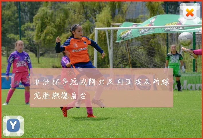 非洲杯争冠战阿尔及利亚埃及两球完胜燃爆看台