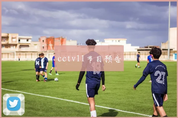 cctv11节目预告