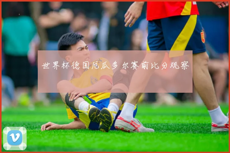 世界杯德国厄瓜多尔赛前比分观察