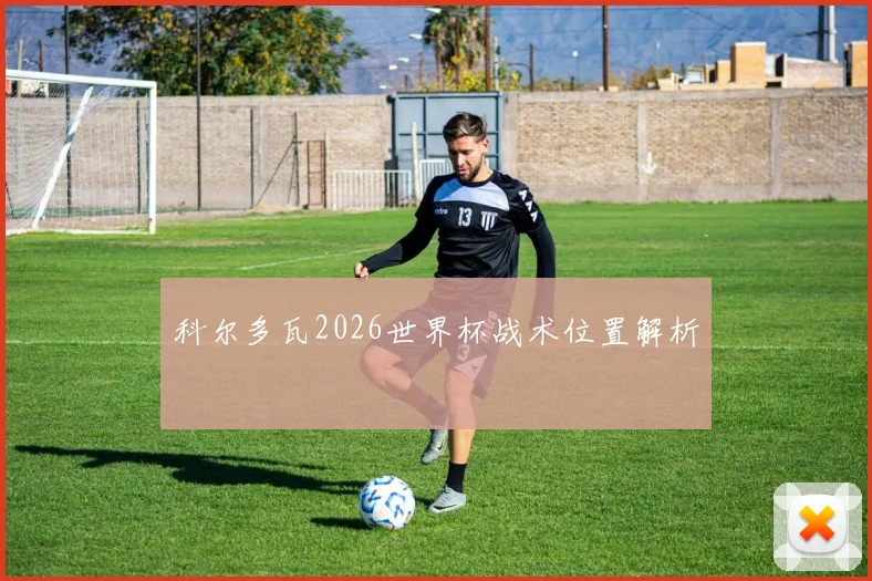 科尔多瓦2026世界杯战术位置解析