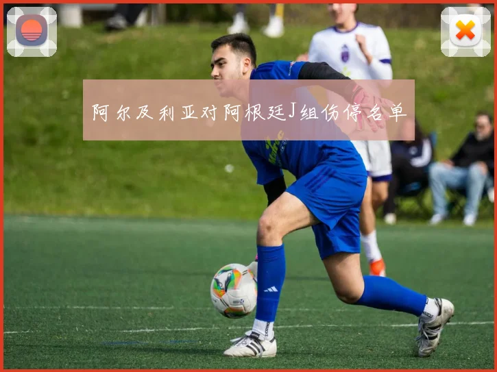 阿尔及利亚对阿根廷J组伤停名单