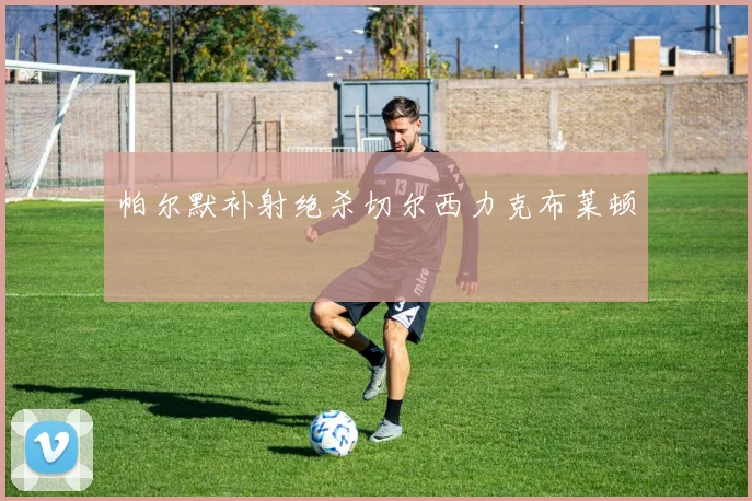 帕尔默补射绝杀切尔西力克布莱顿