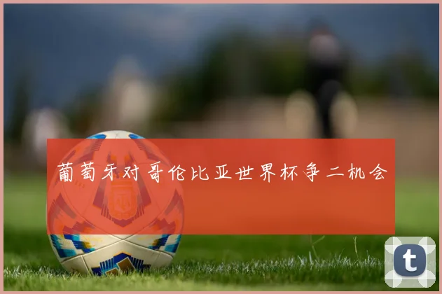 葡萄牙对哥伦比亚世界杯争二机会