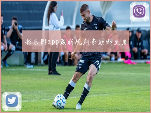 彩乐园app最新规则条款哪里看
