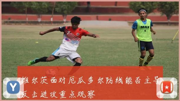 维尔茨面对厄瓜多尔防线能否主导反击进攻重点观察